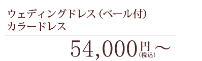 ウェディングドレス（ベール付）・カラードレス　54,000円〜